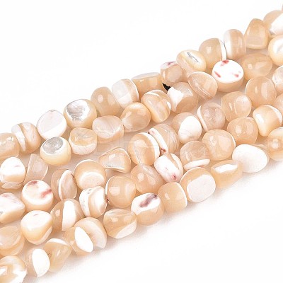 Natural Trochid Shell/Trochus Shell Beads Strands SSHEL-N040-11-1