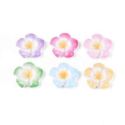 Plumeria Flower Opaque Resin Cabochons CRES-T025-30M-01-1