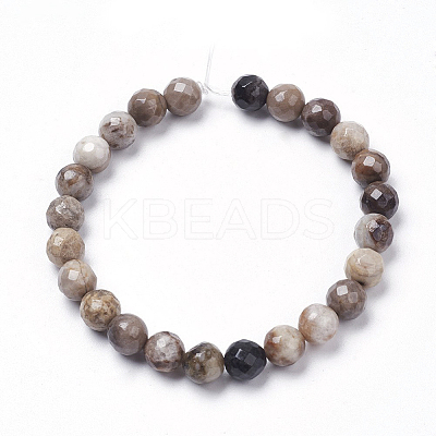 Natural Silver Leaf Jasper Beads Strands X-G-K181-6mm-O01-1