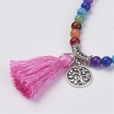 Natural Gemstone Beads Necklaces NJEW-F147-B07-1