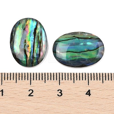 Natural Paua Shell Cabochons SSHEL-I026-20A-1
