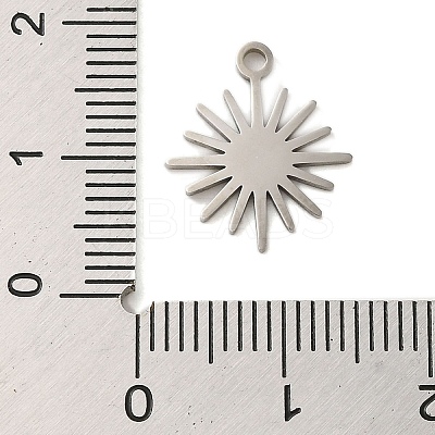 Non-Tarnish 304 Stainless Steel Charms LS-STAS-S123-01P-04-1