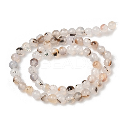Natural Dendritic Agate Beads Strands G-A248-A07-01-1