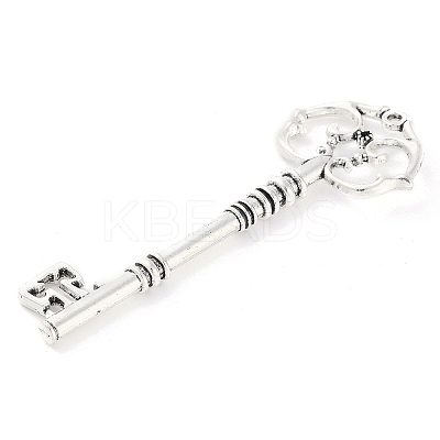 Tibetan Style Alloy Skeleton Key Big Pendants TIBEP-Q043-021-RS-1