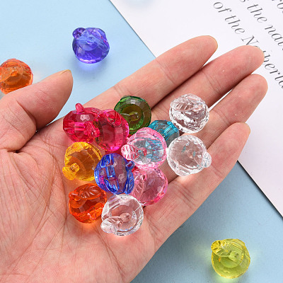 Transparent Acrylic Pendants TACR-T024-05B-1