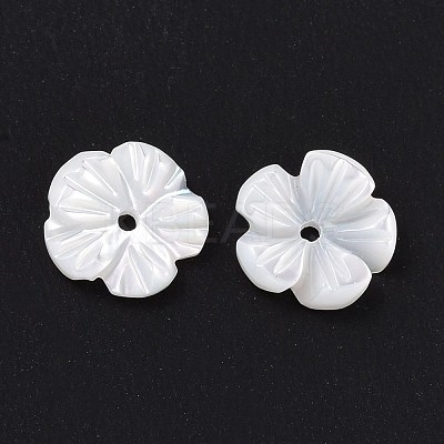 Natural Trochid Shell/Trochus Shell Beads SHEL-P014-02A-1
