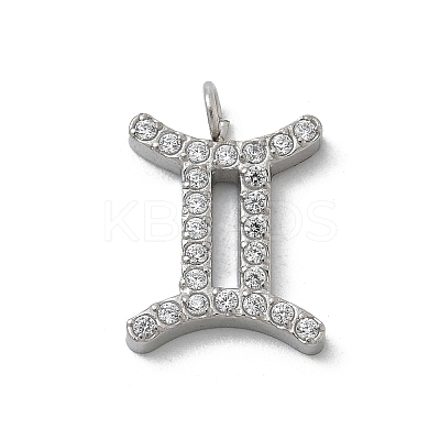 304 Stainless Steel Micro Pave Cubic Zirconia Charms STAS-Z107-09P-08-1