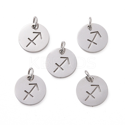 Non-Tarnish 304 Stainless Steel Charms STAS-Q201-T445-9S-1