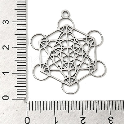 Non-Tarnish 201 Stainless Steel Pendants STAS-B049-11P-1