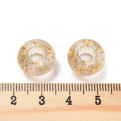 Transparent Acrylic European Beads TACR-P009-A01-03-1