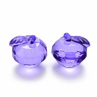 Transparent Acrylic Pendants TACR-T024-05B-936-1