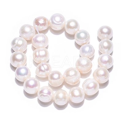 Natural Cultured Freshwater Pearl Beads Strands PEAR-S020-F11-01-1