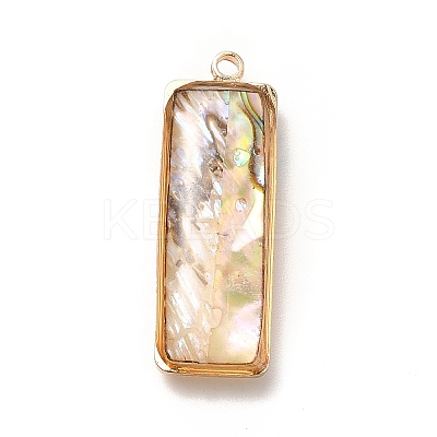 Brass Enamel Pendants KK-K252-10G-05-1
