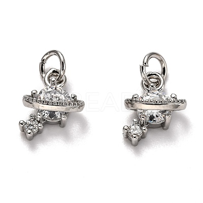 Brass Micro Pave Cubic Zirconia Charms ZIRC-H119-10P-1