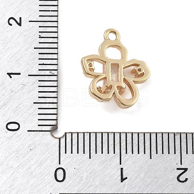 Bass Micro Pave Cubic Zirconia Pendants KK-D283-29G-1