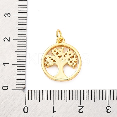 Brass Micro Pave Cubic Zirconia Pendants KK-D325-57G-01-1