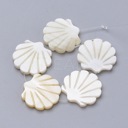 Natural Freshwater Shell Beads LS-X-SHEL-T007-02-1