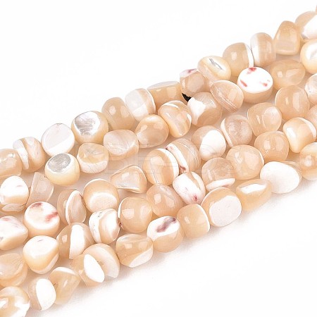Natural Trochid Shell/Trochus Shell Beads Strands SSHEL-N040-11-1