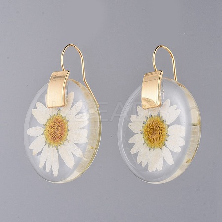Alloy Resin Dangle Earrings EJEW-JE03560-1