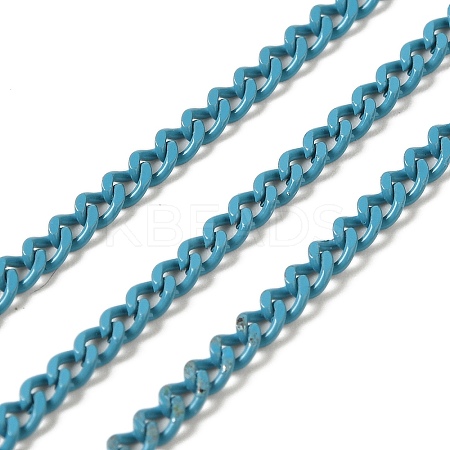 Spray Painted 304 Stainless Steel Curb Chains STAS-B067-05A-06-1