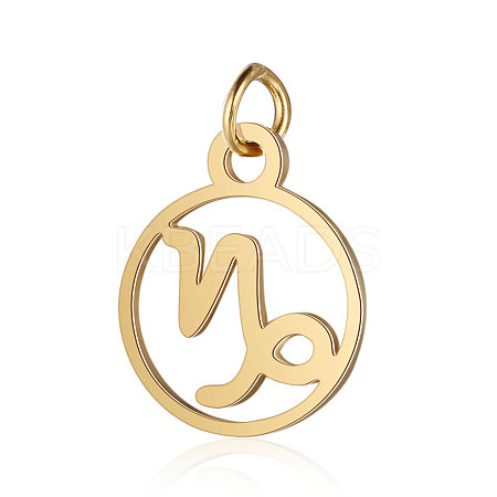 201 Stainless Steel Charms STAS-T036-T513-10-1