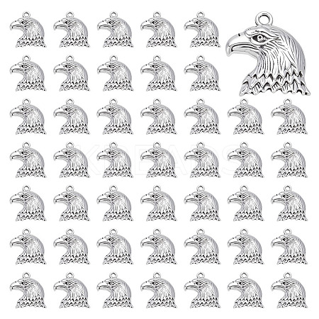70Pcs Tibetan Style Zinc Alloy Pendants FIND-ME0002-45-1