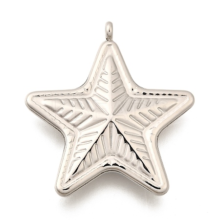 Non-Tarnish 304 Stainless Steel Pendants STAS-C073-03P-1-1