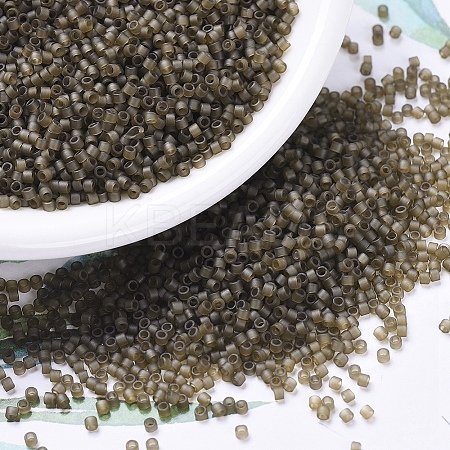 MIYUKI Delica Beads LS-X-SEED-J020-DB0384-1