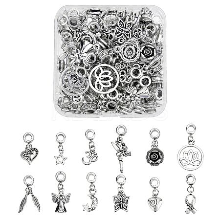 Tibetan Style Alloy Large Hole European Dangle Charms & Alloy European Dangle Charms PALLOY-PH0013-74-RS-1