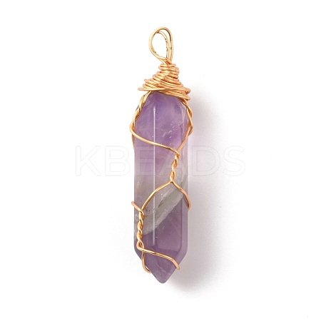 Natural Amethyst Double Terminated Pointed Pendants G-TAC0010-04G-02-1