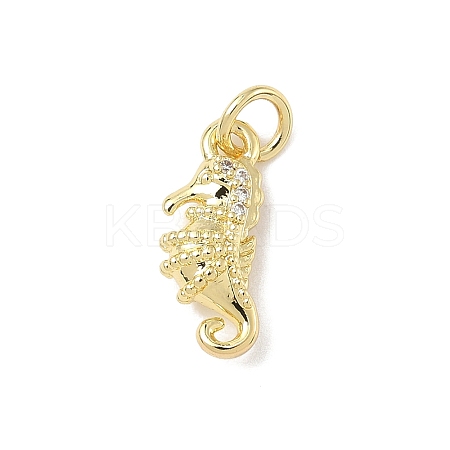 Brass Micro Pave Cubic Zirconia Charms ZIRC-I356-13G-03-1
