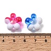 Opaque & Transparent Two Tone Acrylic European Beads AC-CBA9284-01-3