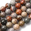 Natural Alashan Agate Beads Strands G-H343-D05-12mm-A-2