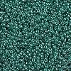 MIYUKI Round Rocailles Beads X-SEED-G007-RR0322-3