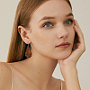 4 Pairs 4 Colors PU Leather Dangle Earrings with Steel Iron Pins EJEW-FI0003-09-7