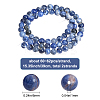 2 Strands Natural South Africa Sodalite Beads Strands G-BBC0001-02A-2