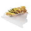100Pcs Story of Four Seasons PET Stickers Self-Adhesive Stickers DIY-K074-06C-4