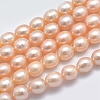 Natural Cultured Freshwater Pearl Beads Strands PEAR-K003-23C-01-1
