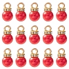 ABS Plastic Charms KY-YW0001-24C-1