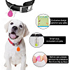 32Pcs 4 Colors Transparent Blank Acrylic Pet Dog ID Tag PALLOY-AB00045-5