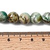 Natural Green Line Jasper  Beads Strands X-G-L639-A01-6mm-5