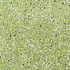 TOHO Round Seed Beads SEED-JPTR11-0024L-2