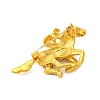 Zinc Alloy Crystal Rhinestone Brooch JEWB-U010-04G-06-2