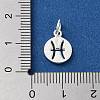 925 Sterling Silver Constellations Charms STER-M118-01D-3