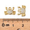 304 Stainless Steel Charms X-STAS-F321-01G-02-3