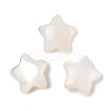 Natural White Shell Beads SSHEL-I026-11-1