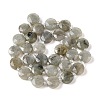 Natural Labradorite Bead Strands G-C116-A10-01-3