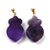 Natural Amethyst Pendants G-A203-02C-1
