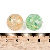 Transparent Resin Beads RESI-C070-06B-3