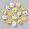 Frosted Transparent Acrylic Beads LS-OACR-N137-72G-2